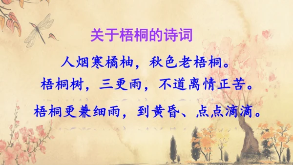 5《铺满金色巴掌的水泥道》   课件