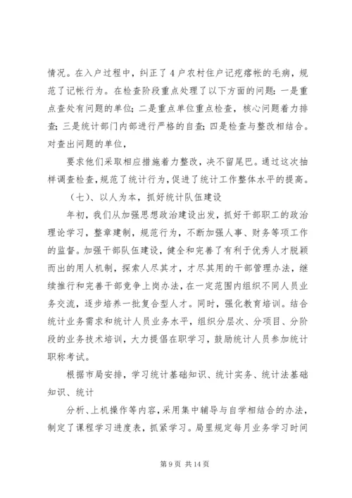 统计局XX年度工作总结及XX年工作计划 (4).docx