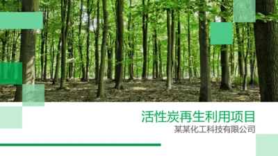 绿色活性炭再生利用项目融资计划书PPT模板下载