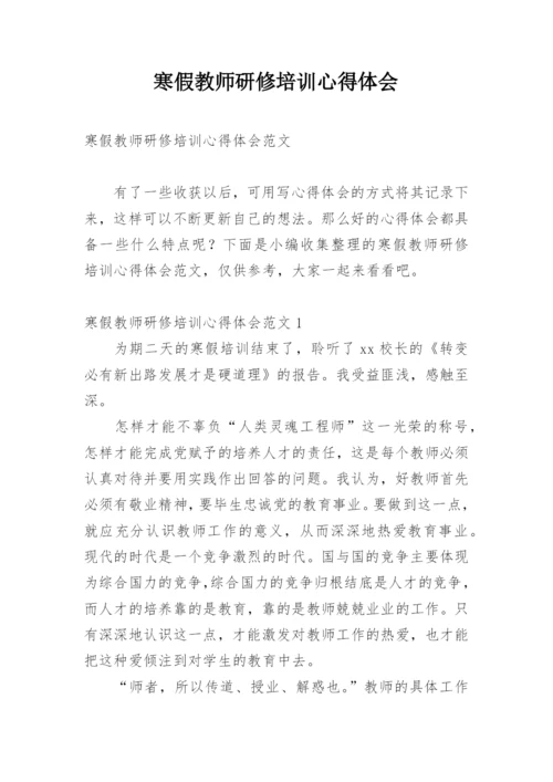 寒假教师研修培训心得体会.docx