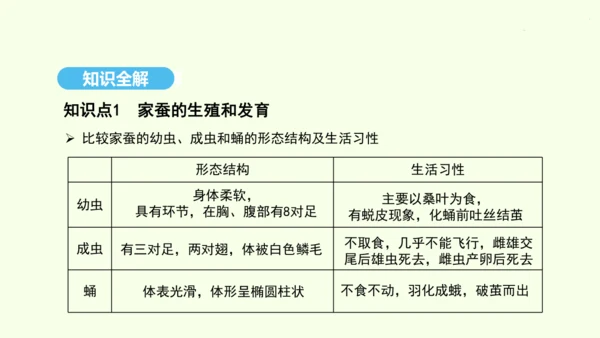 7.1.2昆虫的生殖和发育课件-人教版生物八年级下册(共26张PPT)