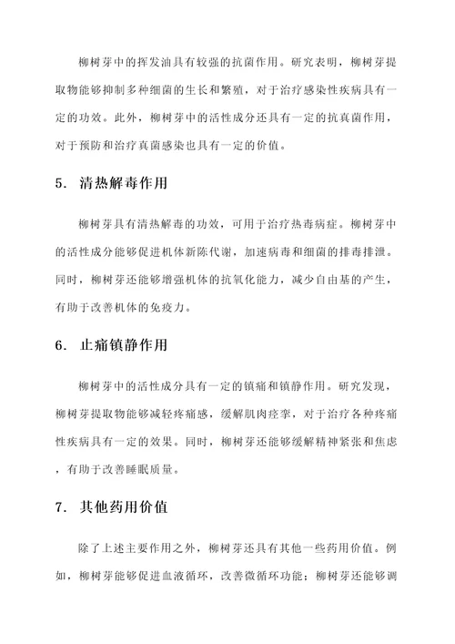 柳树芽的作用和功效