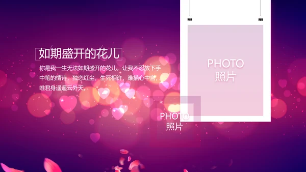 紫色唯美浪漫玫瑰花瓣生日快乐纪念册相册PPT