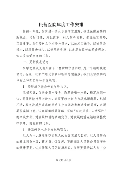 民营医院年度工作安排.docx