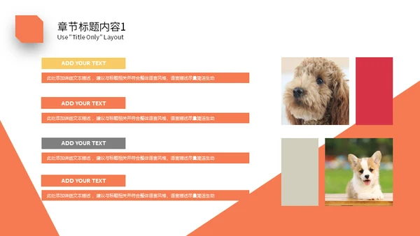 宠物乐园萌宠小狗主题通用PPT模板