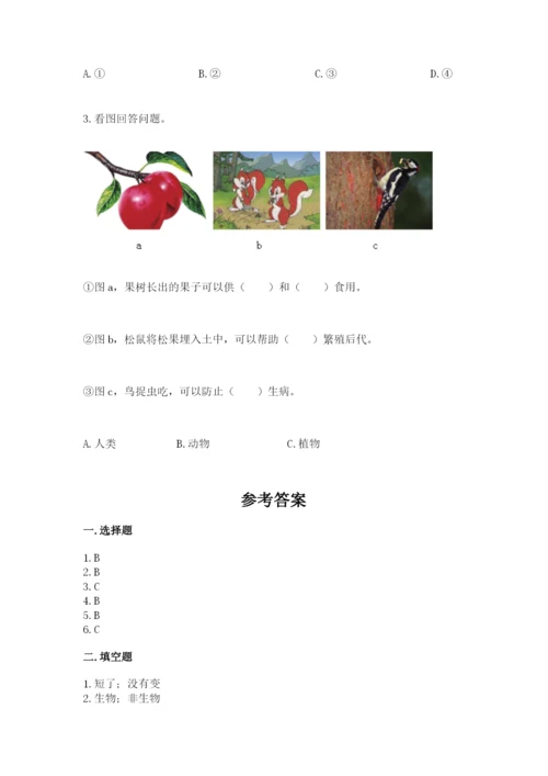 教科版二年级上册科学期末测试卷含答案（实用）.docx