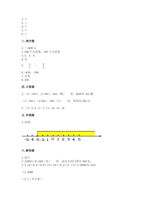 新平彝族傣族自治县六年级下册数学期末测试卷完整答案.docx