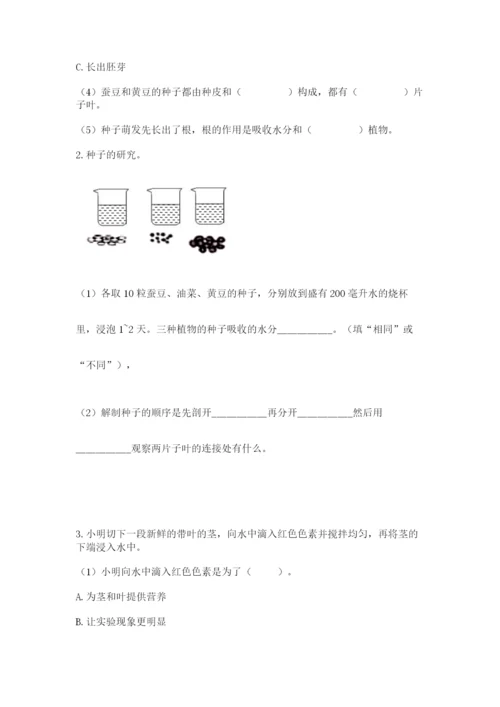 教科版四年级下册科学第一单元《植物的生长变化》测试卷标准卷.docx