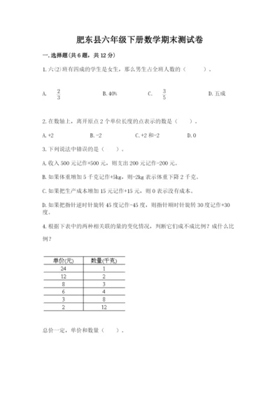 肥东县六年级下册数学期末测试卷精品加答案.docx