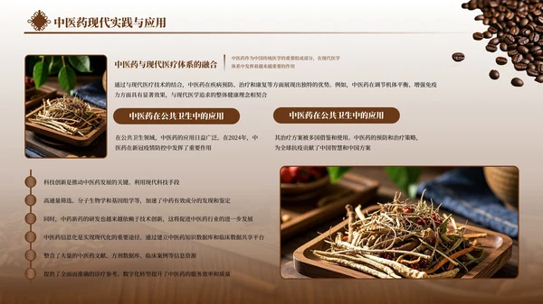 褐色中医药文化传承PPT模板