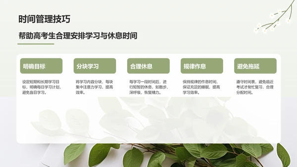 绿色小清新高考生考前焦虑应对方法PPT模板