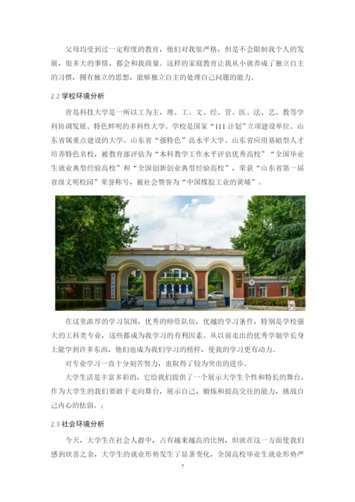 19页10100字材料物理专业职业生涯规划.docx