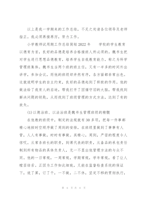 小学教师试用期工作总结简短2022年.docx