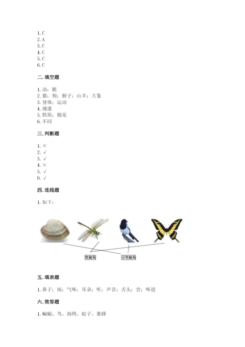 教科版一年级下册科学期末测试卷含完整答案（夺冠）.docx