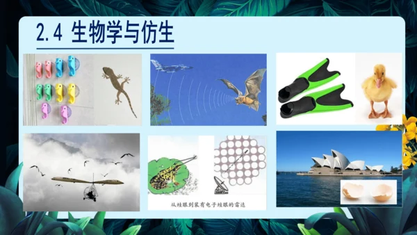 开学第一课+致同学们-【大单元教学】2023-2024学年七年级生物上册同步备课系列（人教版）(共2
