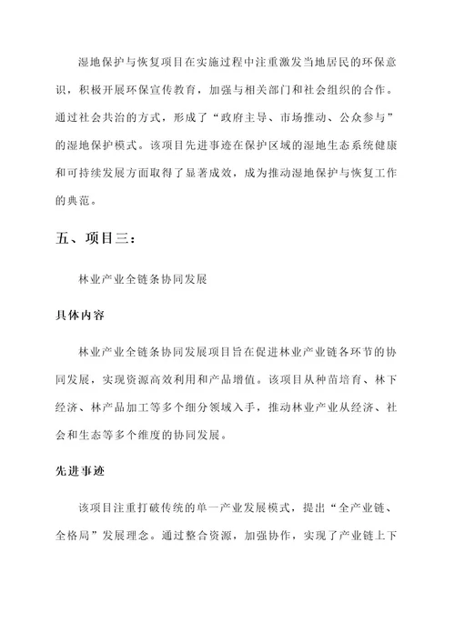 林业局项目先进事迹