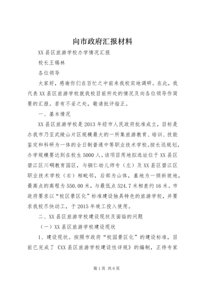 向市政府汇报材料.docx