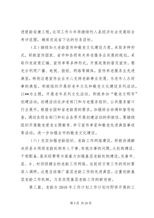 老龄办工作计划 (2).docx