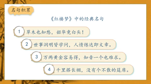 【核心素养】部编版语文五年级下册-8.红楼春趣（课件）
