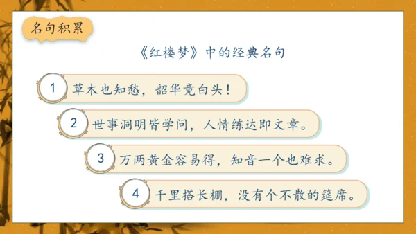 【核心素养】部编版语文五年级下册-8.红楼春趣（课件）