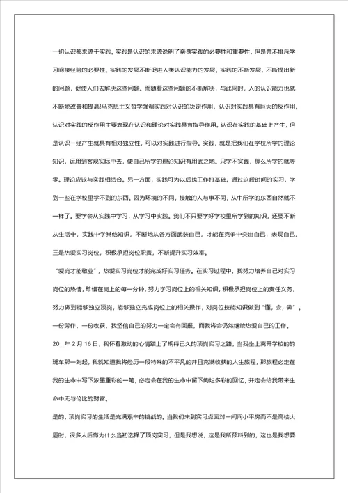 顶岗实习个人工作总结报告