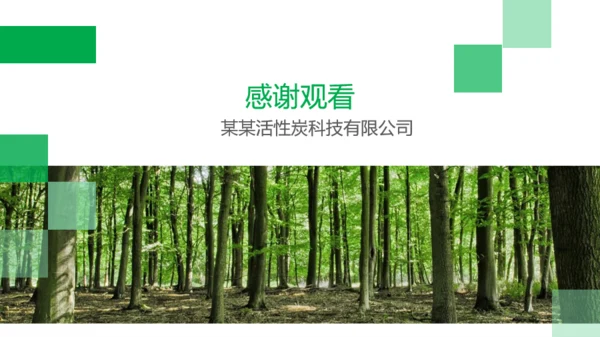 绿色活性炭再生利用项目融资计划书PPT模板下载