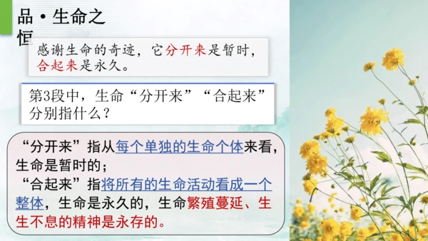16 散文二篇  永久的生命 课件