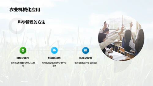 稻田科学种植