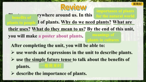 Unit 6 The power of plants Presenting ideas 课件 外研版