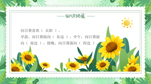 要是你在野外迷了路小清新二年级语文下册PPT小学语文二年级小学语文二年级下册课件