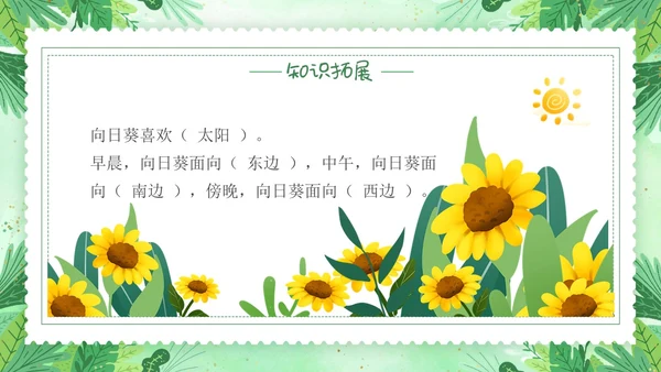 要是你在野外迷了路小清新二年级语文下册PPT小学语文二年级小学语文二年级下册课件