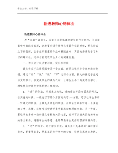 2024年新进教师心得体会范文13篇合辑.docx