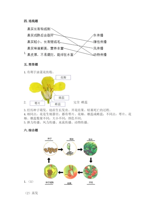 科学四年级下册第一单元《植物的生长变化》测试卷标准卷.docx