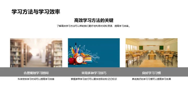 学习效率的加速器