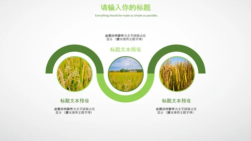 农业生产春耕三农新农村乡村振兴稻田水稻PPT