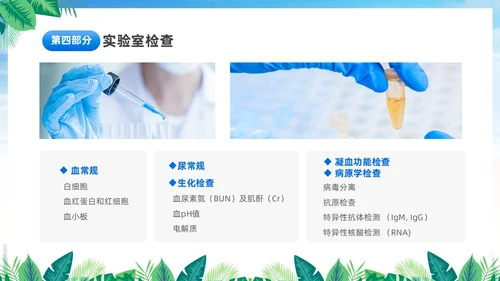 蓝色简约医疗肾综合出血热治疗预防讲座PPT护理