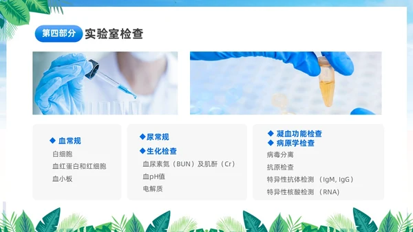 蓝色简约医疗肾综合出血热治疗预防讲座PPT护理