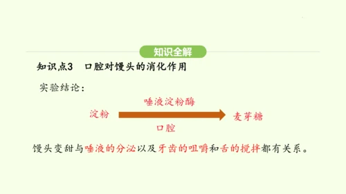 第四单元-第二章-第二节 第1课时 食物的消化课件-2024-2025学年七年级生物下学期人教版(2