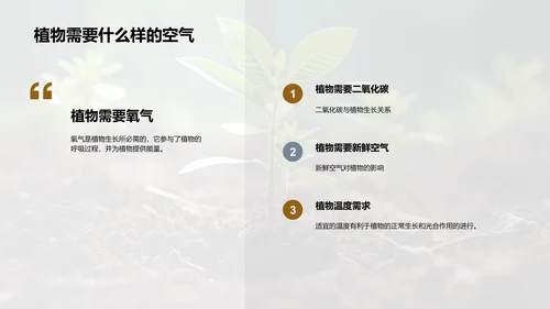 探索植物成长