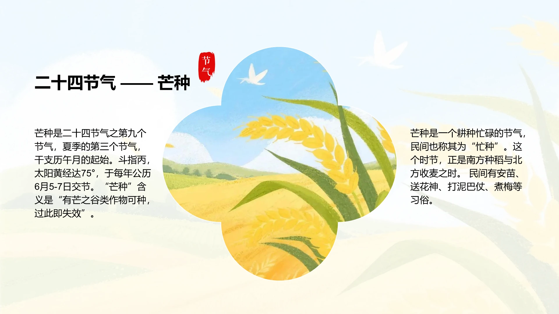 绿色国风含图片二十四节气芒种PPT关系页