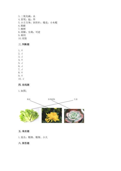 教科版科学一年级上册期末测试卷加下载答案.docx