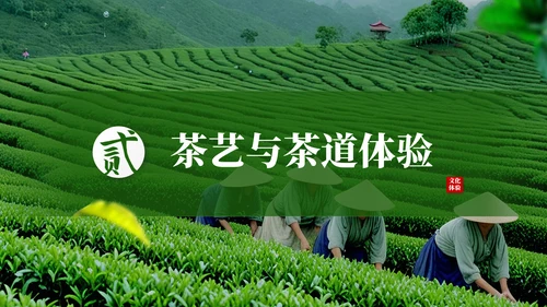 茶文化采茶旅游PPT模板_采茶之旅与文化体验报告PPT模板