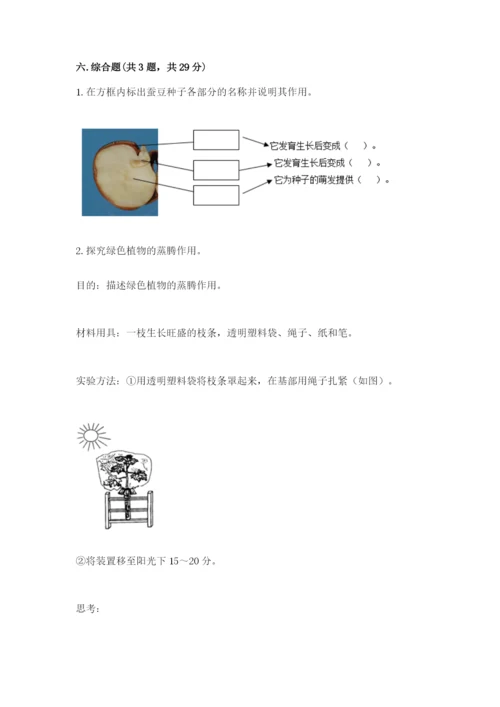 科学四年级下册第一单元《植物的生长变化》测试卷（完整版）.docx