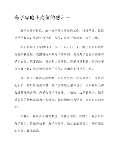对海子家庭小岗位的感言