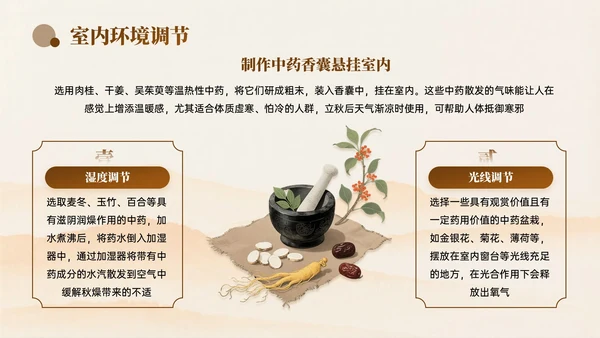 棕色中国风立秋中医养生PPT模板