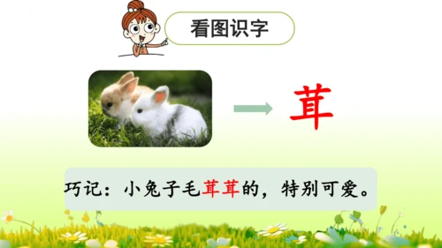 11.我是一只小虫子 课件