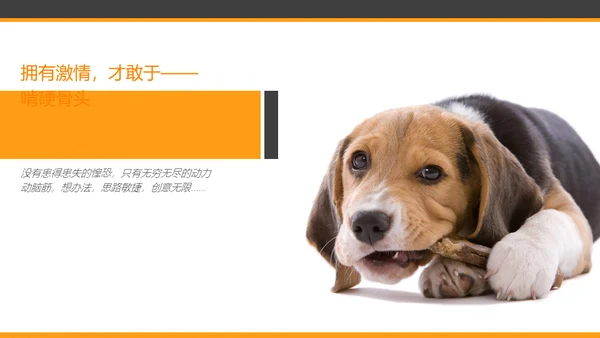 激情去哪了员工在职培训通用PPT课件