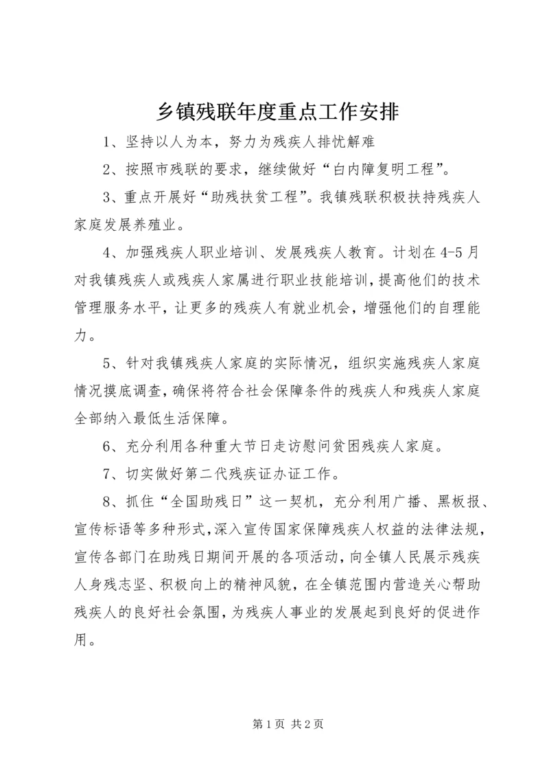 乡镇残联年度重点工作安排.docx