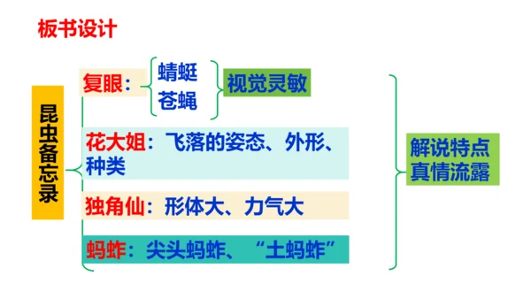 第4课《昆虫备忘录》（教学课件）
