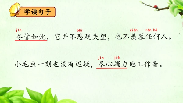 22《小毛虫》课件